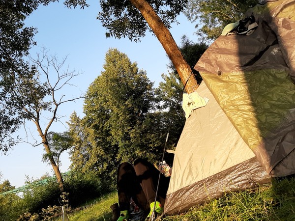 takže ona přijela za tebou nebo si Skypujete nebo co D